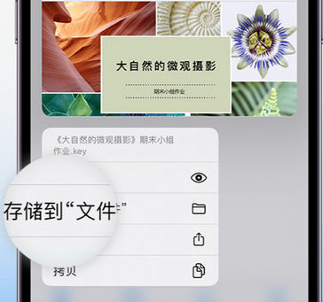 锡林浩特apple维修中心分享iPhone文件应用中存储和找到下载文件