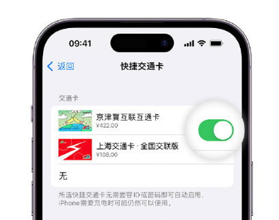 锡林浩特apple维修点分享iPhone上更换Apple Pay快捷交通卡手绘卡面 