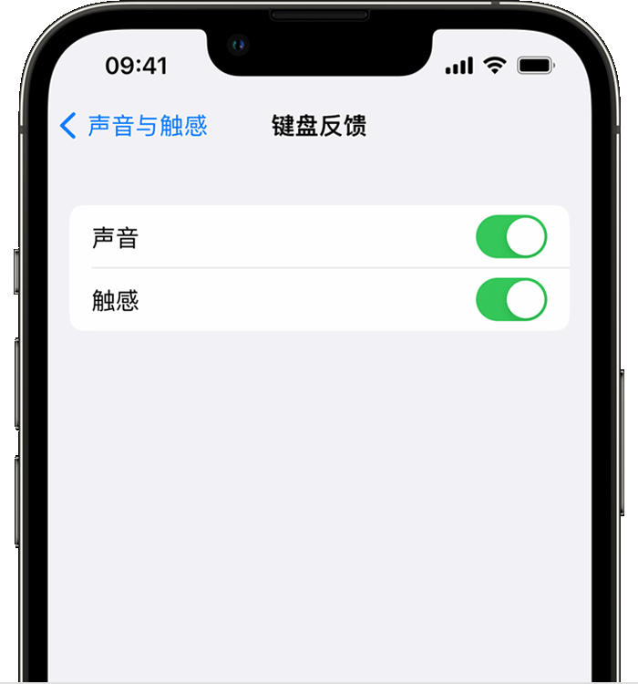 锡林浩特苹果14维修店分享如何在 iPhone 14 机型中使用触感键盘 