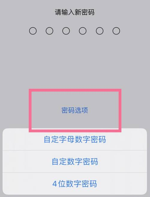 锡林浩特苹果14维修分享iPhone 14plus设置密码的方法 