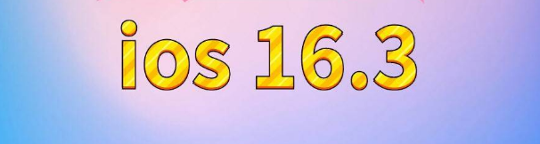 锡林浩特苹果服务网点分享苹果iOS16.3升级反馈汇总 