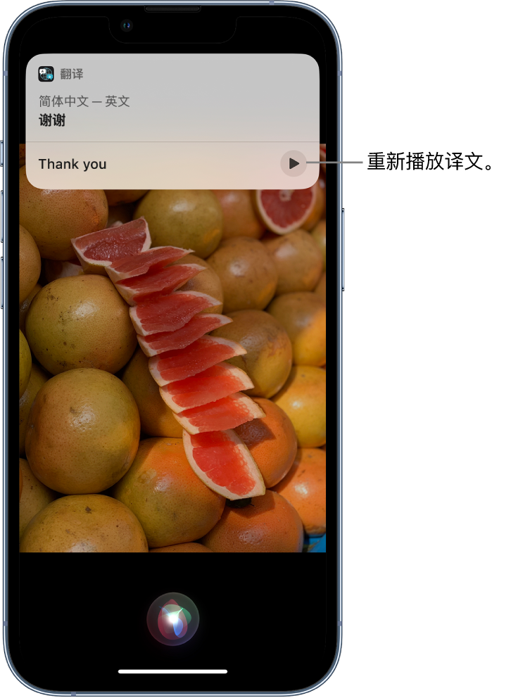 锡林浩特苹果14维修分享 iPhone 14 机型中使用 Siri：了解 Siri 能帮你做什么 