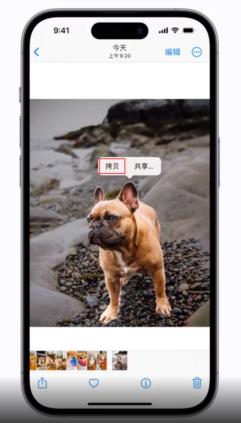 锡林浩特苹果手机维修分享 iOS 16 自带一键抠图功能 