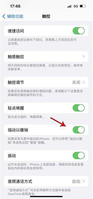 锡林浩特苹果手机维修分享iPhone手机如何设置摇一摇删除文字 