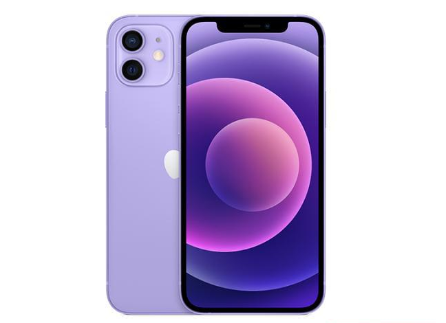 锡林浩特苹果手机维修分享现阶段要不要入手紫色版iPhone12 